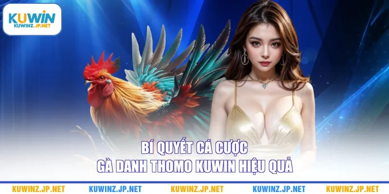 Bí quyết cá cược gà danh Thomo Kuwin hiệu quả