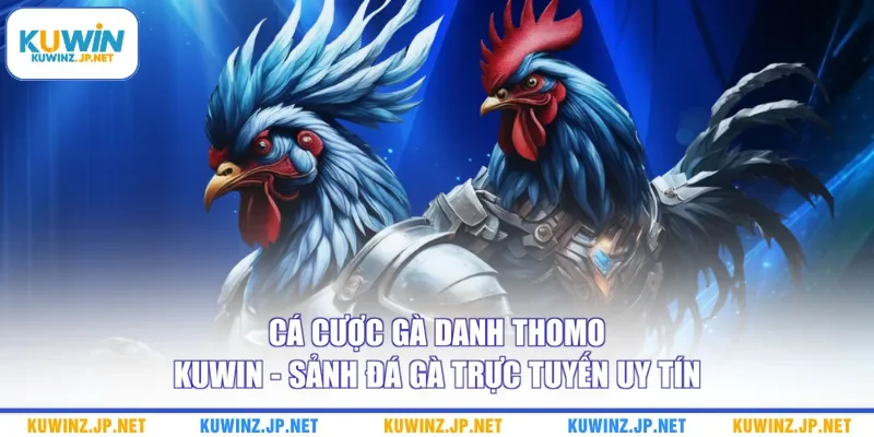 Cá Cược Gà Danh Thomo Kuwin - Sảnh Đá Gà Trực Tuyến Uy Tín