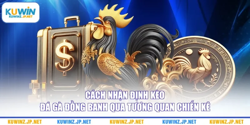 Cách Nhận Định Kèo Đá Gà Đồng Banh Qua Tương Quan Chiến Kê